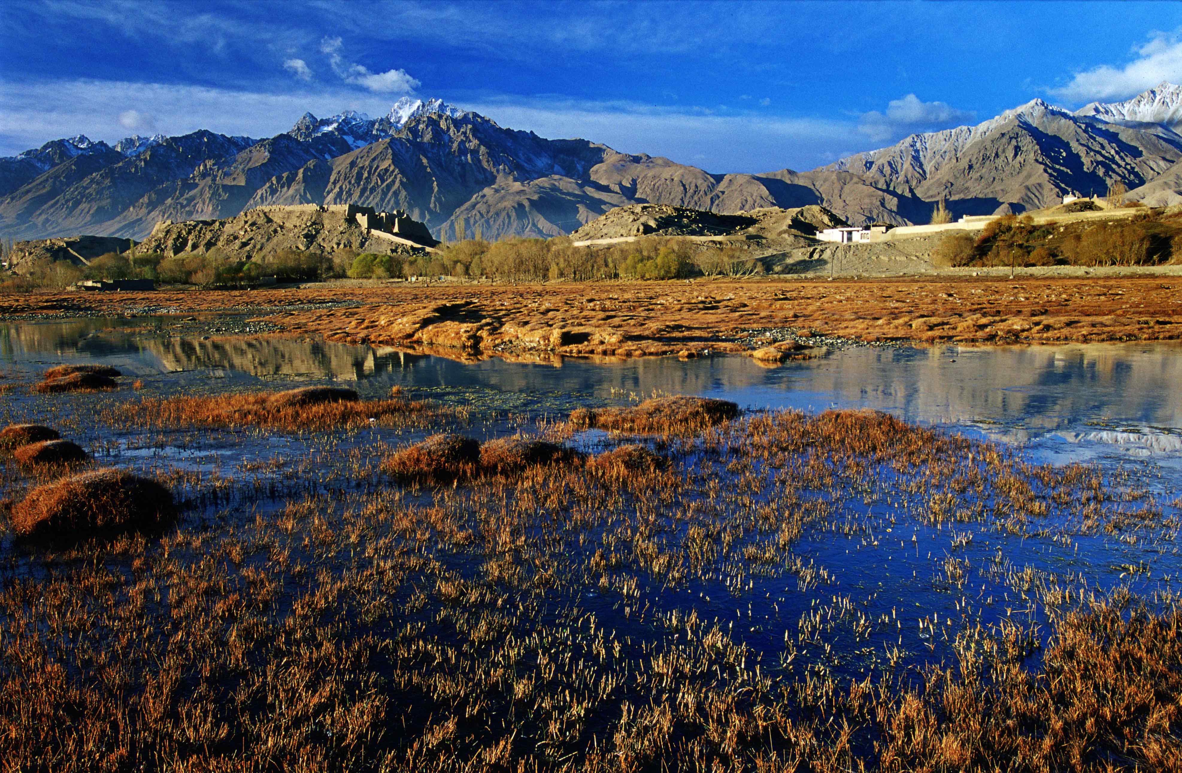 倍头条 | 一周内豪门国际官网成功竞得两处铜矿！